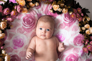 Fototapeta premium baby girl on a light pink background with roses flowers, close u
