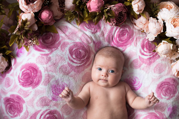 Fototapeta premium baby girl on a light pink background with roses flowers, close u