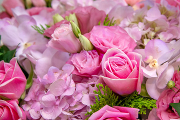 bunch of beautiful color of flowers