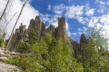 Cathedral Spires / Scenic rock formations in the Black Hills of South Dakota.