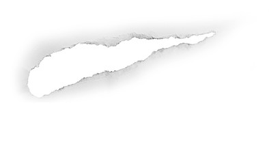 Torn paper, isolated on white background.