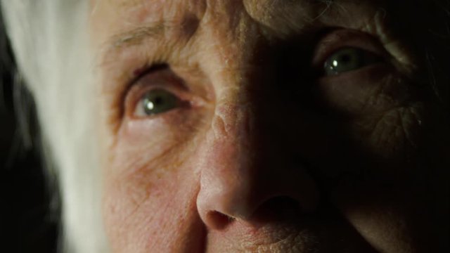 Close Up Of A 99 Years Old Woman Face, Portrait, Senescence, Nice Old Lady