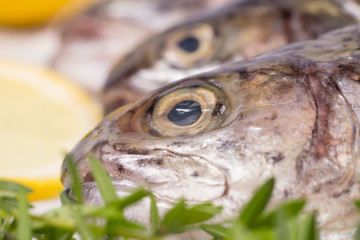 Three raw trouts on paper with thyme and lemon on a rustic wooden table