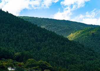 Naklejka premium 風景