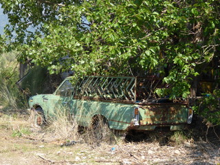 A pickup truck left to recycle itself