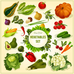 Organic fresh vegetables and herbs poster