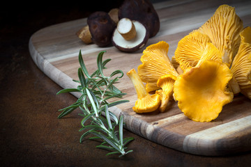 Rosemary with cantharellus. Yellow chanterelle and boletus