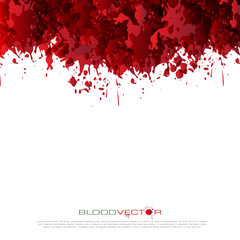 Blood splatter isolated on white background, vector design