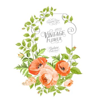 Vintage card background with beautiful poppies. Vector illustration.