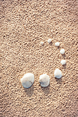 Fototapeta na wymiar Clam mollusc shells set on sand. Van Hyning's Cockle