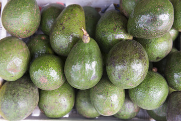 Background of avocado on a market