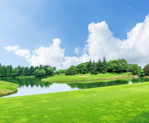 Fototapeta premium green grass and woods on a golf field