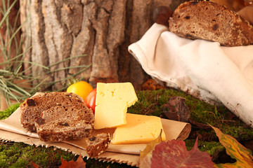 Picnic in forest. Rye bread, cheese slices and tomatoes