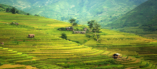 Beautiful landscape about terraced rice field in Yen Bai province, Vietnam