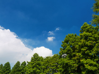 夏空と公園