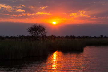 Sunset

