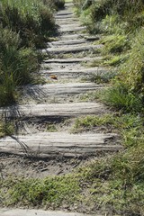 Weg aus Holzbohlen 3