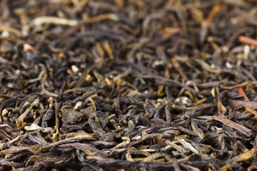 Green tea background