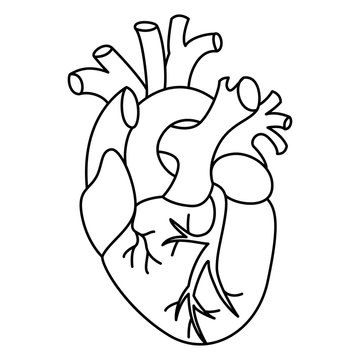 Flat style linear heart illustration