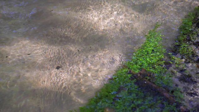 Kristall klarer Bach fliesst idyllisches durch eine gr&uuml;ne Ufer Landschaft mit sandigen Flussbett
