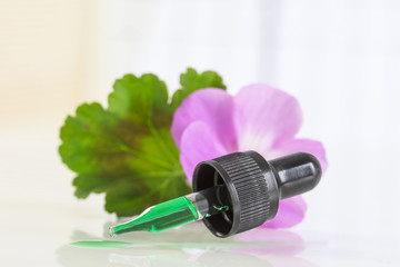Pink geranium flower with essential oil blue glass dropper over white background.