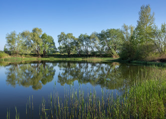 Obraz na płótnie Canvas lake in the countryside