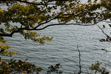 Obraz na płótnie Canvas Waldwege durch den Insel. Rügen