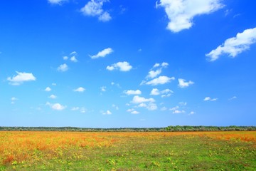 Obraz premium Countryside landscape