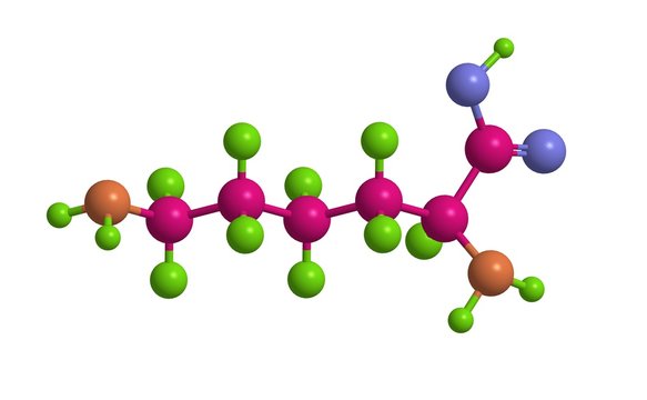Molecular structure of L-lysine