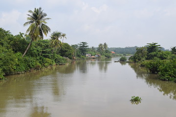 Fototapeta na wymiar tropical river