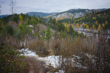 autumn forest beauty of nature