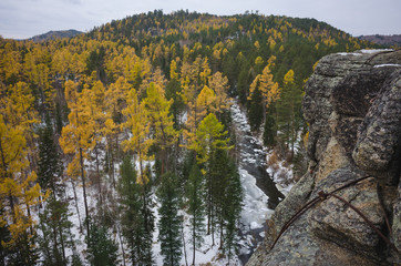 autumn forest beauty of nature