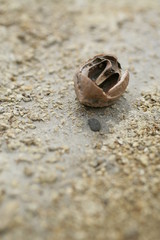 川の貌（かお）Face on a river