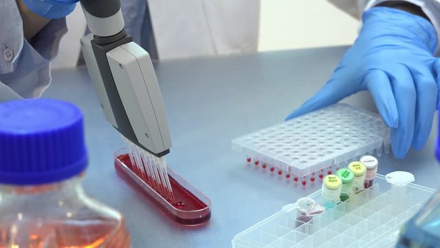PCR genetic research in laboratory