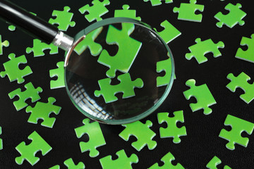 Green puzzles and magnifying glass