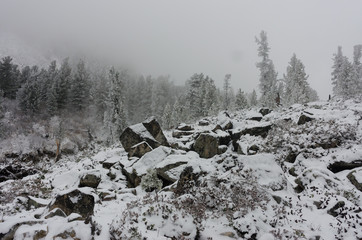 mountain scenery in the mist and snow