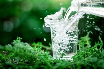 Foto op Plexiglas een glas koel zoet water op natuurlijke groene achtergrond © Cozine