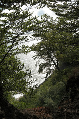 Insel Rügen, Waldwege entlang der  Kreideküste