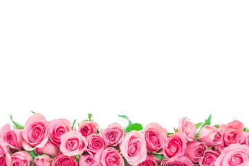 Fototapeta premium border of Beautiful fresh sweet pink rose isolated on white for love romantic valentine background