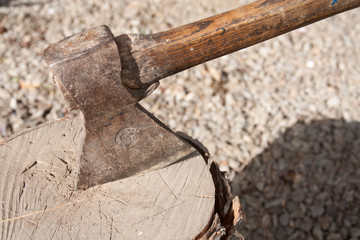 Sharp axe in the birch stump