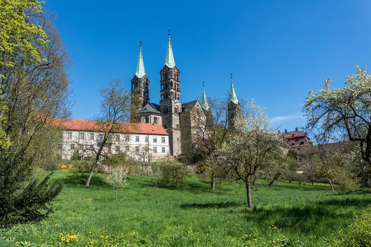 Bamberg Dom im Frühling