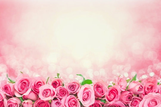 border of Beautiful fresh sweet pink rose for love romantic valentine background