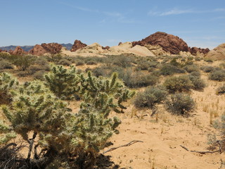 valley of fire state park, nevada
