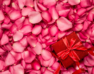 Romantic red rose petals with gift box background