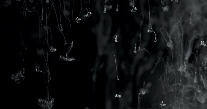 Creative Ink In Water. Cosmic interstellar concept with macro ink in water  effect looking something more astronomical. 
