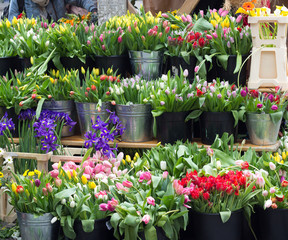 flowers on city street market