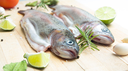 rainbow trouts