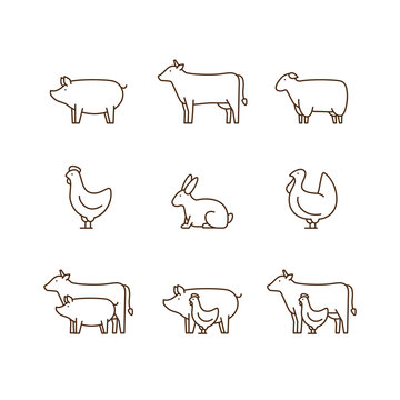 Farm animal outline icon set. Pig, cow, lamb, chicken, turkey, rabbit. Icon for butcher shop. Vector illustration.