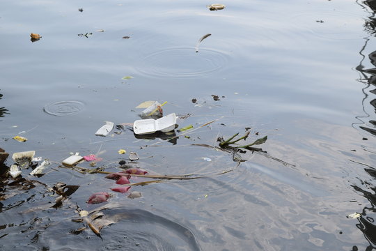 polluted river water with domestic trash