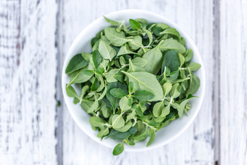 Fresh Menthol Leaves (selective focus)